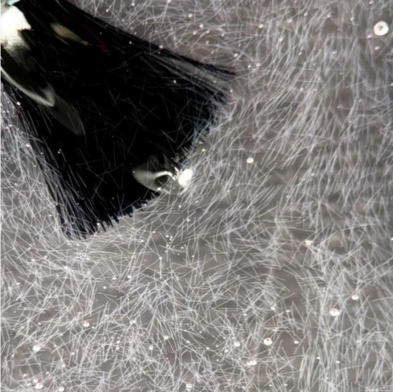 Captura de pantalla 2025-11-04 162458